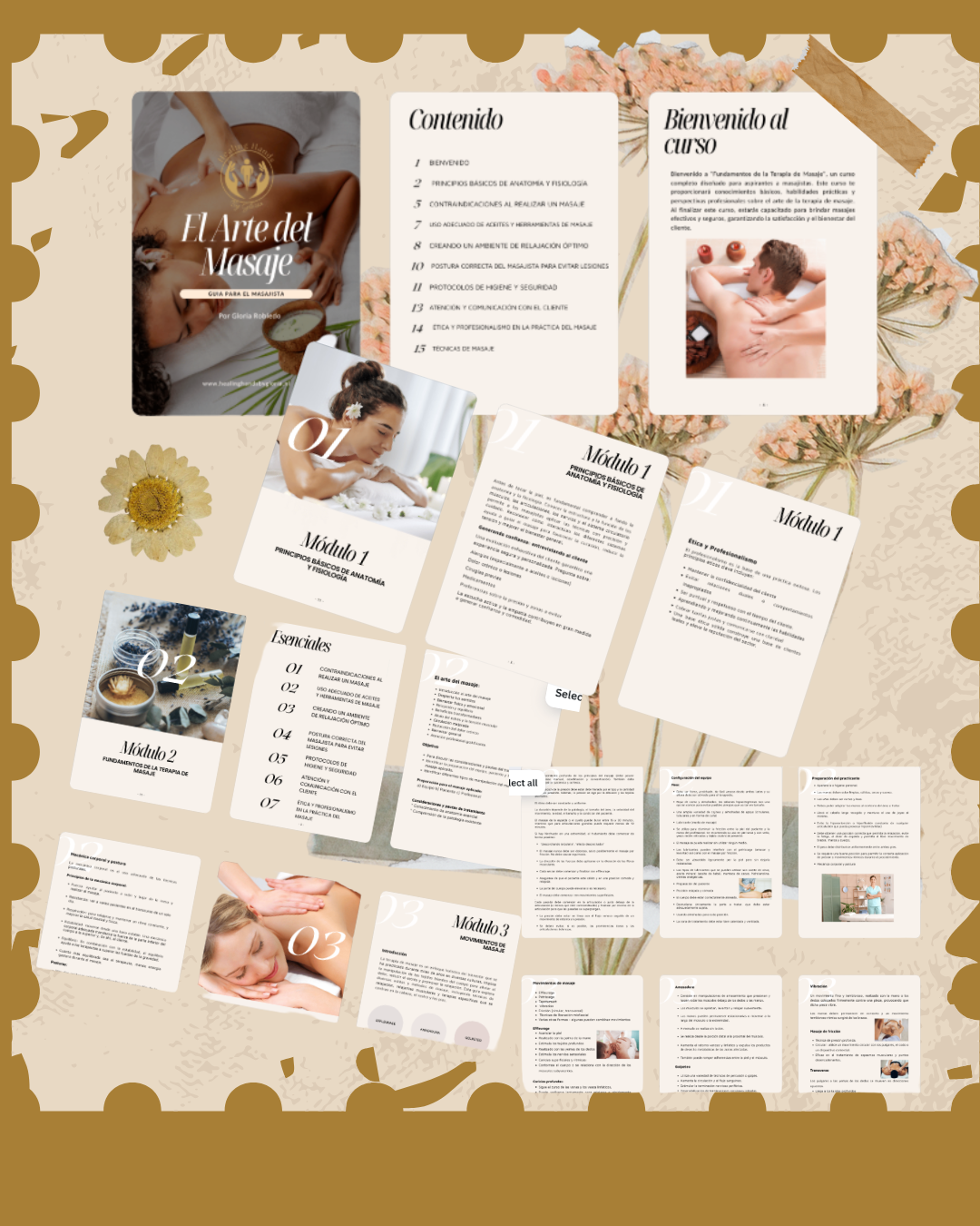 Webdesigner Eindhoven