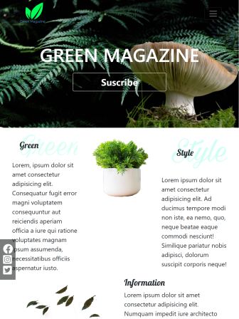 Webdesigner Eindhoven